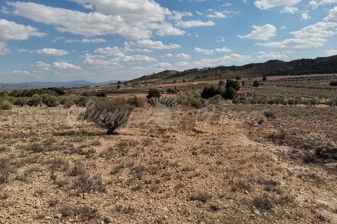 Helårsgrund i Caudete, Albacete, Caudete - € 35.000 | Ref: SF0388 - foto 11